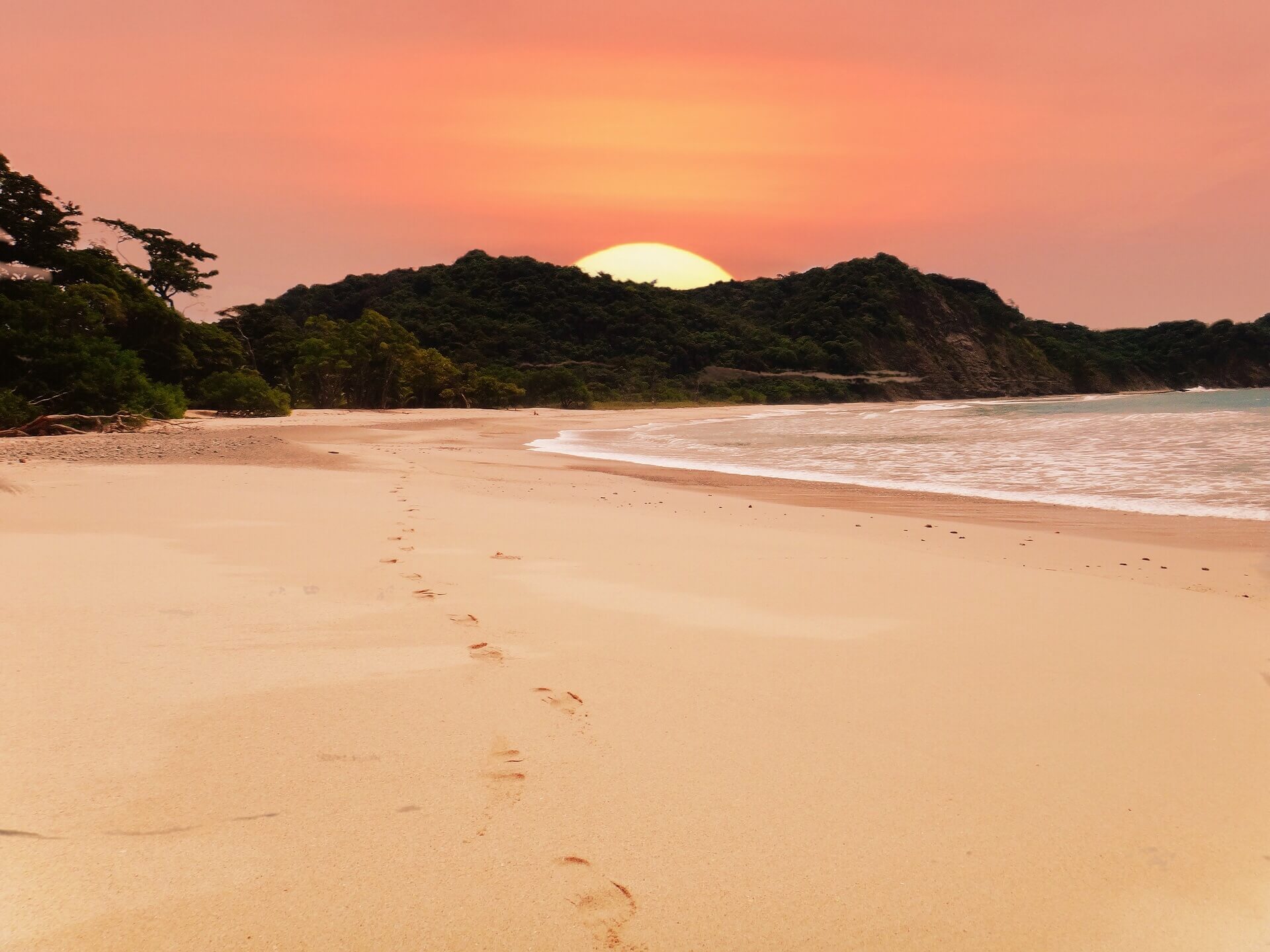 A single line of footprints across an empty beach at sunset, forested headland beyond