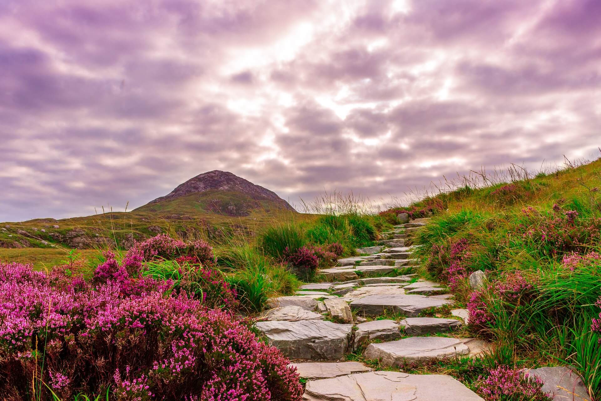 A flagstone path climbing through heather towards a cone-shaped hill in Connemara
